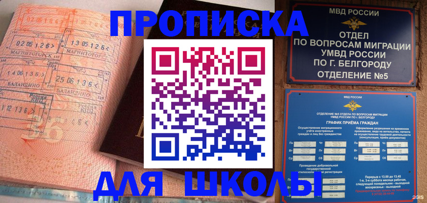 прописка иностранных граждан в Снежинске